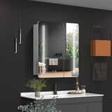 600x700mm LED Mirror Cabinet with Shaver Socket Touch-Switch Anti-fog 2 Doors, Silver