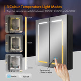 LED Black Bathroom Mirror Cabinet with Dual Plug Shaver Socket 3 Color Temperature 2 Doors 600x700mm