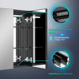 LED Black Mirror Cabinet with Ambient Lighting 2 Doors Adjustable Color 650x600mm