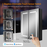 LED Black Bathroom Mirror Cabinet with Dual Plug Shaver Socket 3 Color Temperature 2 Doors 600x700mm