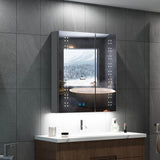 LED Bathroom Mirror Cabinet with Ambient Lighting Shaver Socket 2 Doors 600x700mm