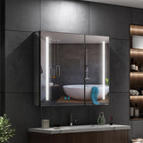 800x700mm LED Black Mirror Cabinet with Ambient Lighting Adjustable Color 2 Doors