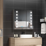 650x600mm LED Illuminated Mirror Cabinet with Shaver Socket Demister 2 Doors