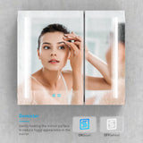 800x700mm LED Black Mirror Cabinet with Ambient Lighting Adjustable Color 2 Doors