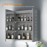 600x700mm LED Bathroom Mirror Cabinet with Ambient Lighting Shaver Socket 2 Doors