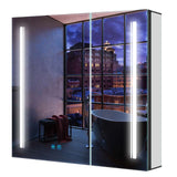 650x600mm LED Black Mirror Cabinet with Ambient Lighting Adjustable Color 2 Doors