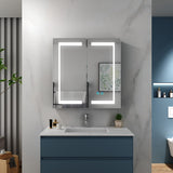630x650mm LED Illuminated Mirror Cabinet with Adjustable Color Shaver Socket 2 Doors