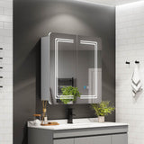630x650mm LED Mirror Cabinet with Shaver Socket Touch-Switch Anti-fog 2 Doors, Silver