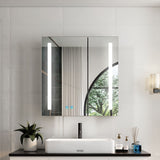 630x650mm LED Mirror Cabinet with Black Aluminium Shaver Socket Demister 3-Color Chaing 2-Doors