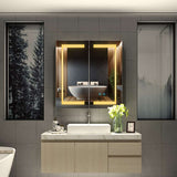 LED Illuminated Mirror Cabinet with Shaver Socket Adjustable Color 2 Doors 630x650mm