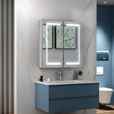 630x650mm LED Illuminated Mirror Cabinet with Adjustable Color Shaver Socket 2 Doors