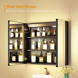 650x600mm LED Black Mirror Cabinet with Ambient Lighting Adjustable Color 2 Doors